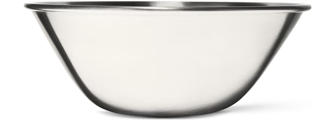 Stainless Steel Bowl