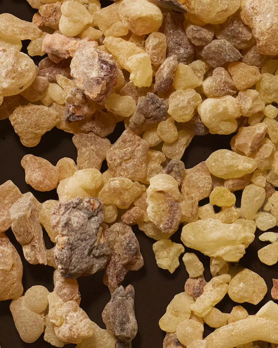 Close-up of amber resin pieces scattered across a dark surface.