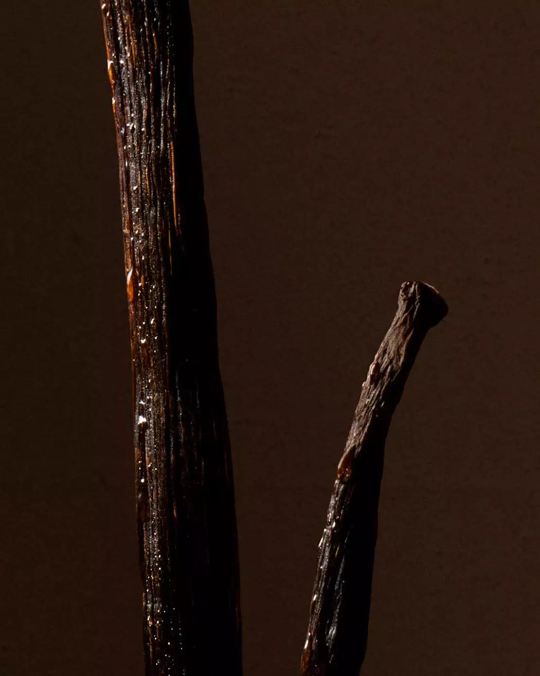 Close-up of dark vanilla pods against a deep brown background.