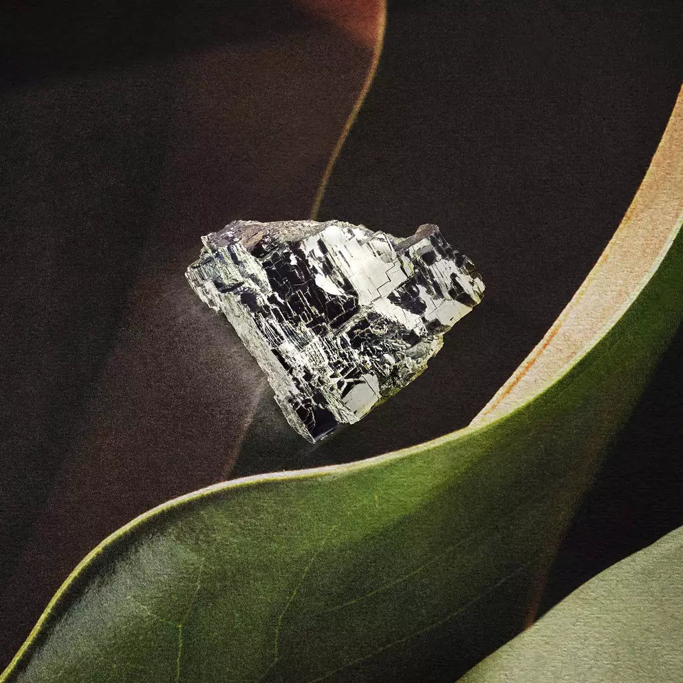 Mineral fragment resting on a broad green leaf.