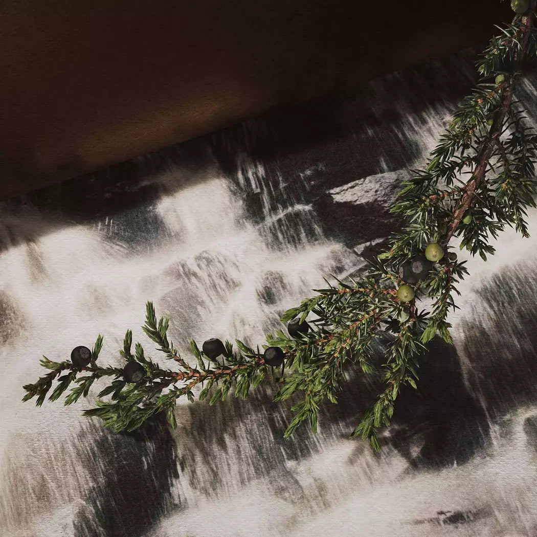 Close-up of a branch lying on a foamy white surface.