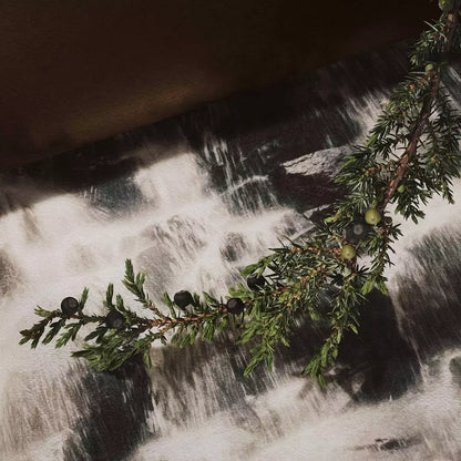 Close-up of a branch lying on a foamy white surface.