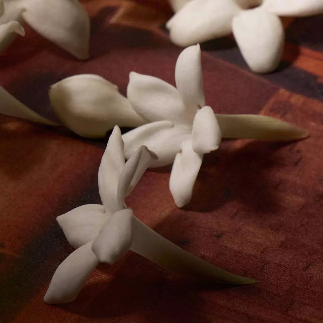 White flowers on a patterned warm-toned surface.