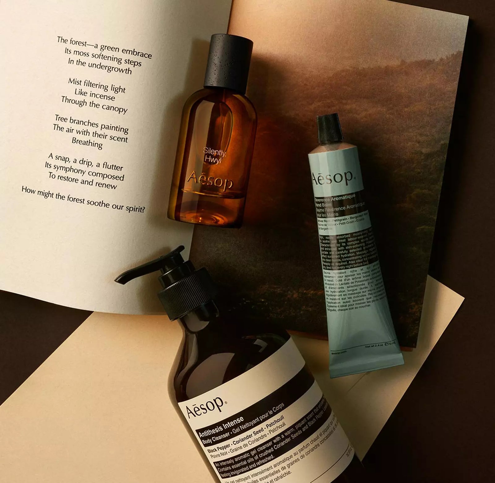 Aesop Silently Hwyl bottle with pump bottle and blue tube arranged on papers with a landscape image.