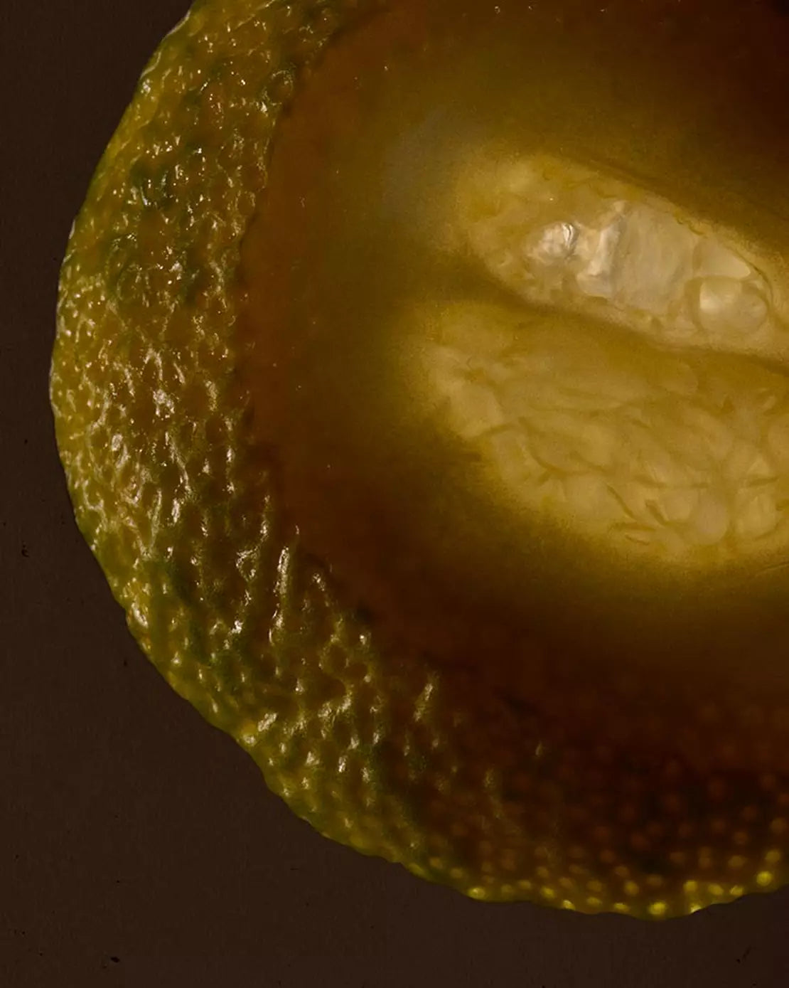 Close-up of a cut citrus fruit with textured rind against a dark background.