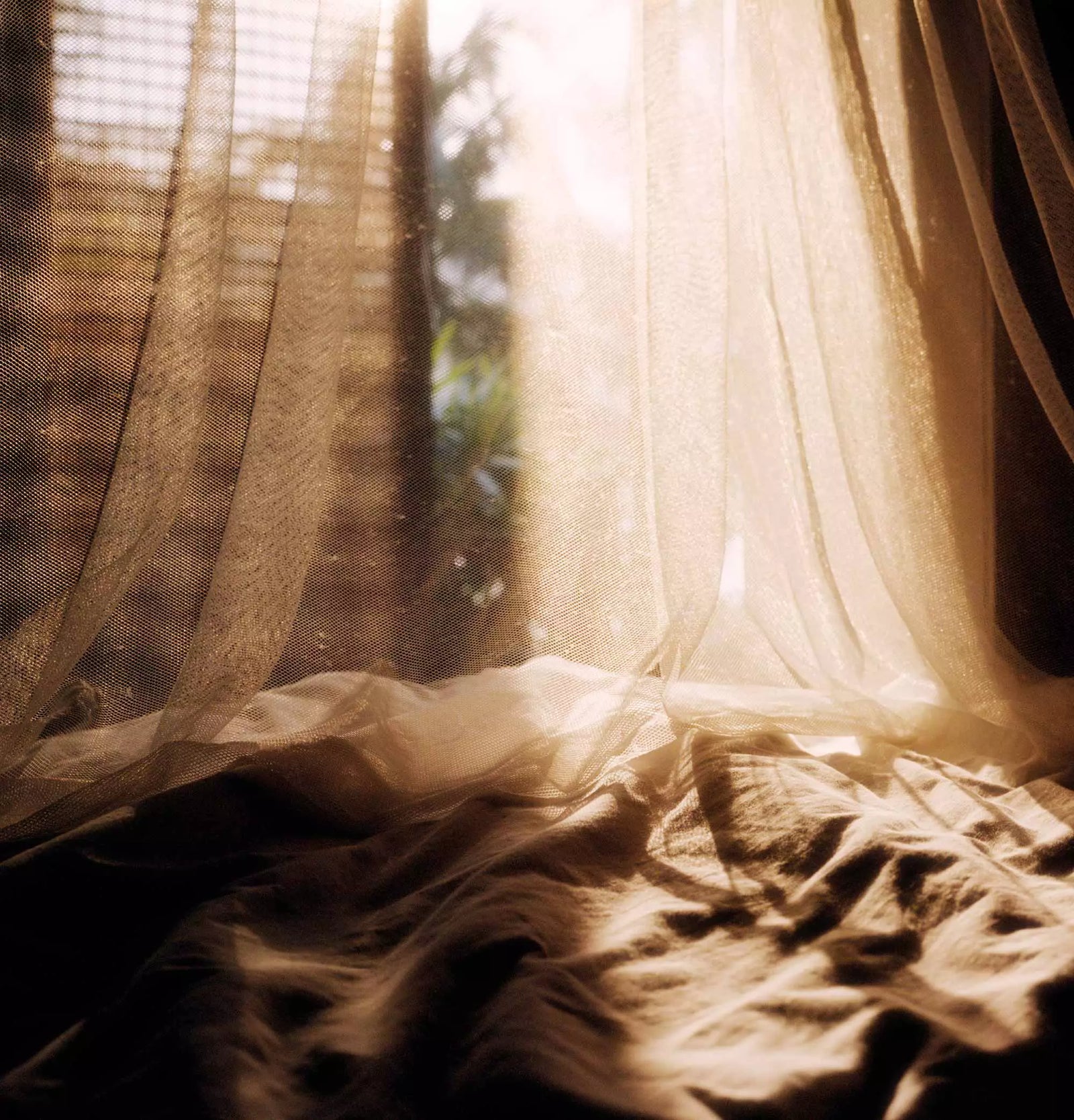 Sheer curtains lit by warm sunlight.