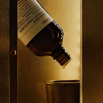 Dignity in the lavatory