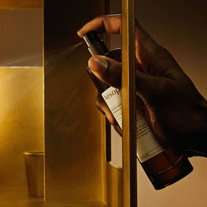 Dignity in the lavatory