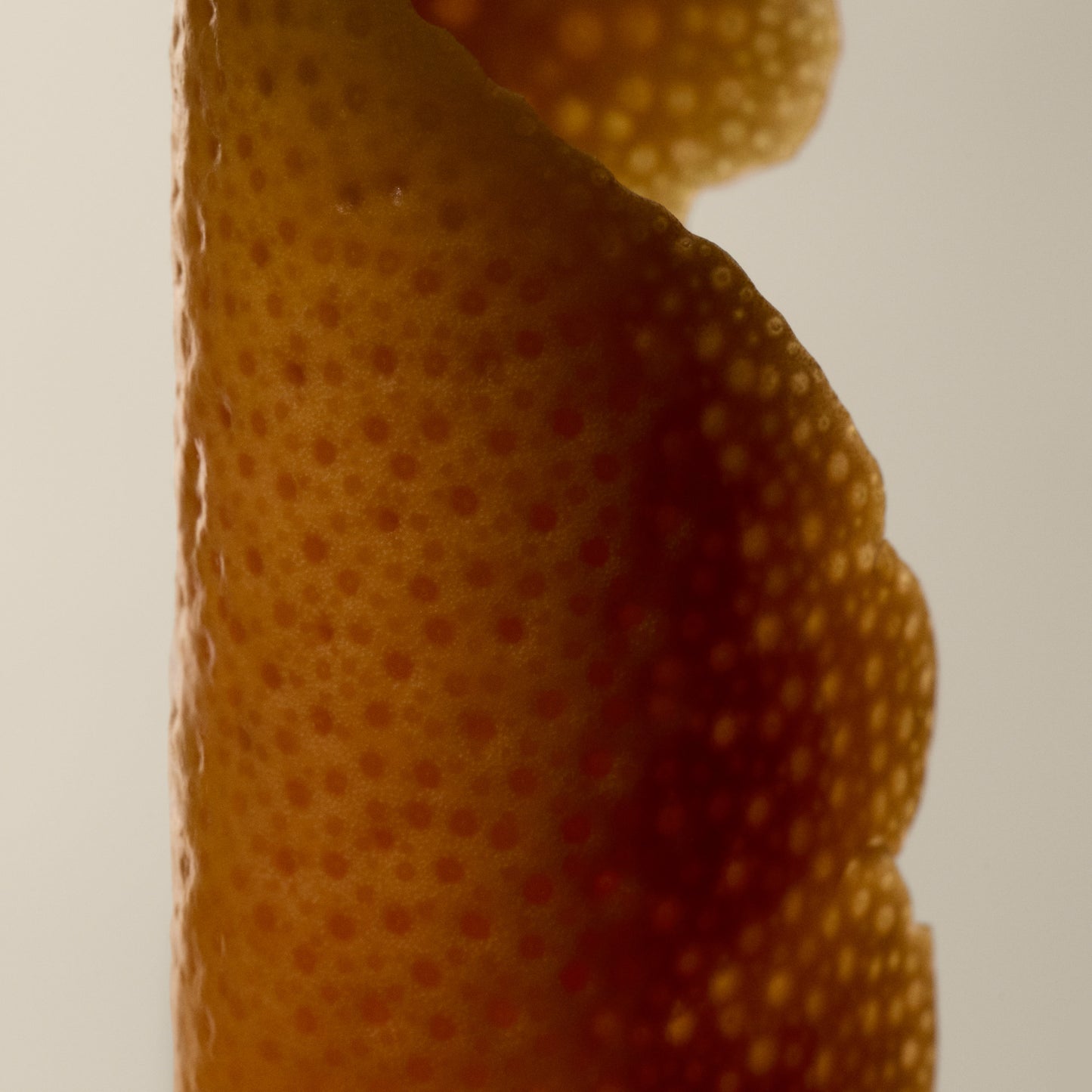 Citrus Melange Body Cleanser