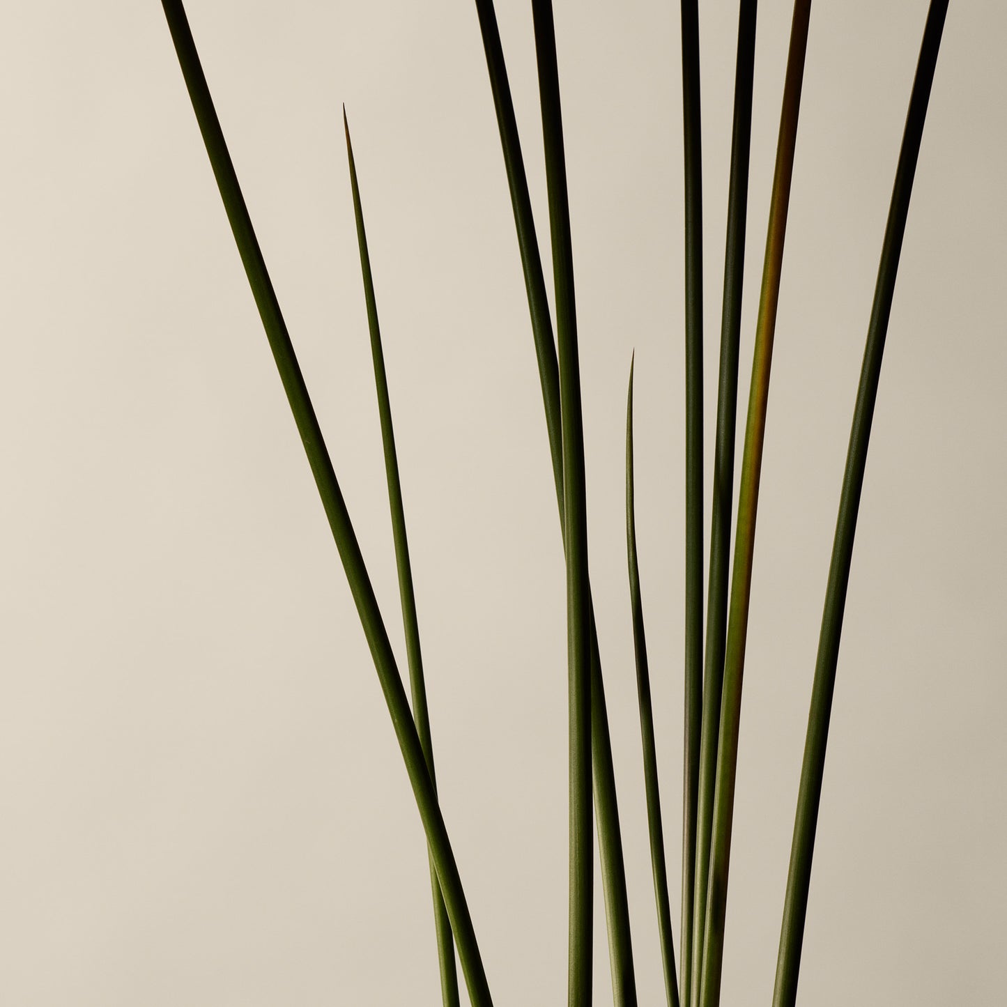 Kagerou Aromatique Incense