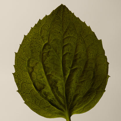 Eleos Aromatique Hand Balm