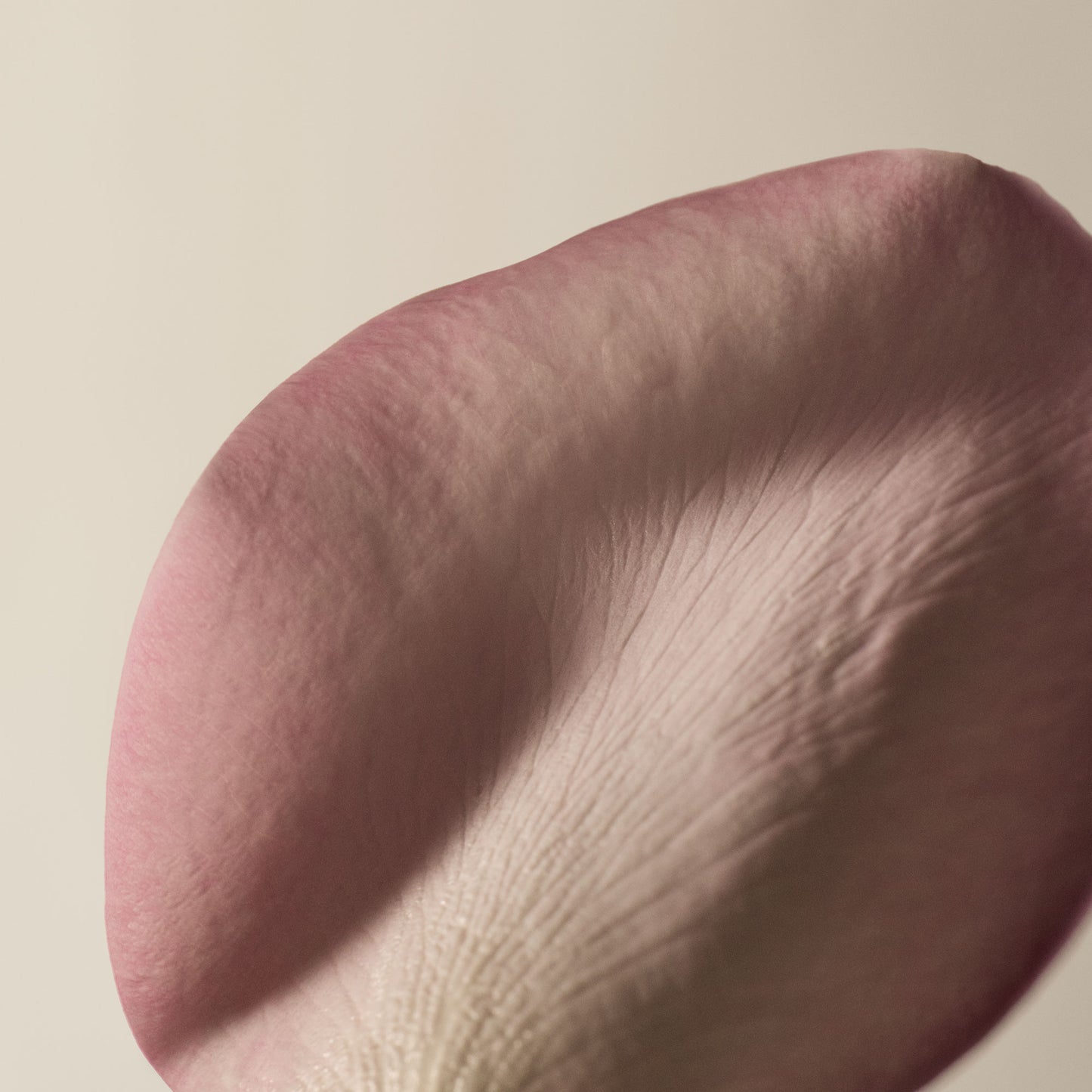 A Rose By Any Other Name Body Cleanser