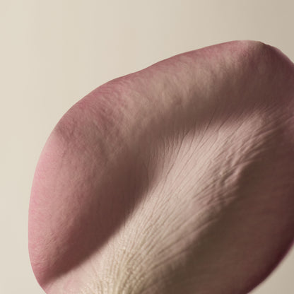 A Rose By Any Other Name Body Cleanser