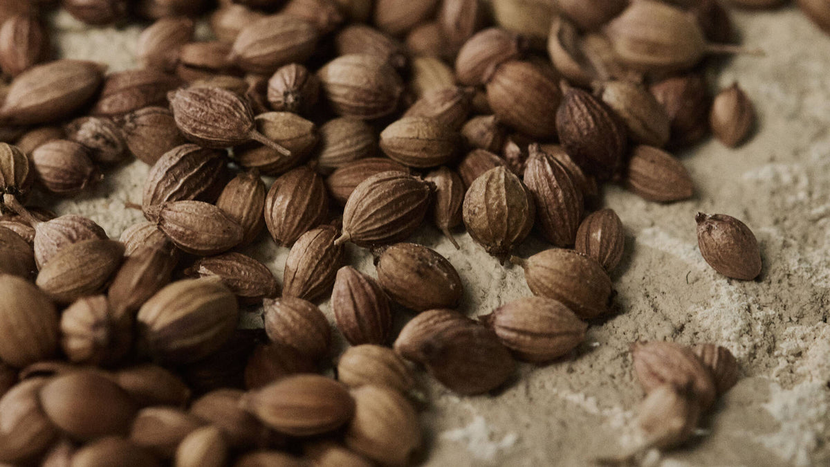 Close-up of coriander seeds scattered across a pale textured surface.