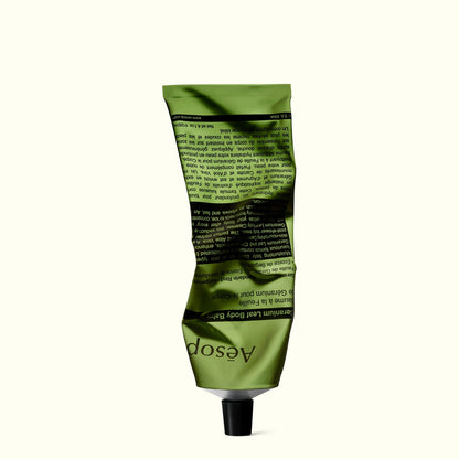 Evergreen Exhilaration