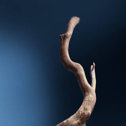 Resolute Facial Concentrate