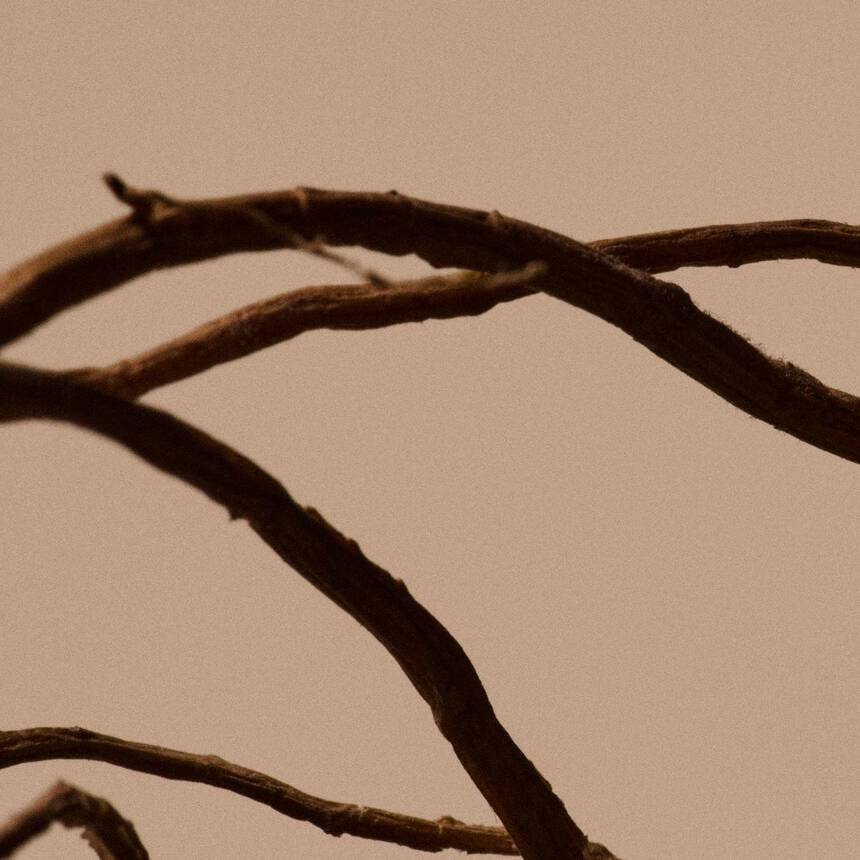 Solais Replenishing Hand Serum